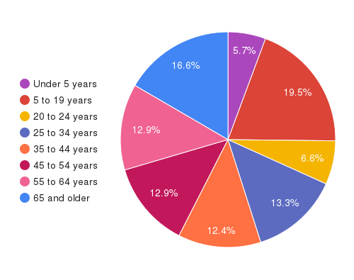 demographic statistics for north carolina